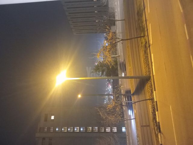 שדרות הרצל 40