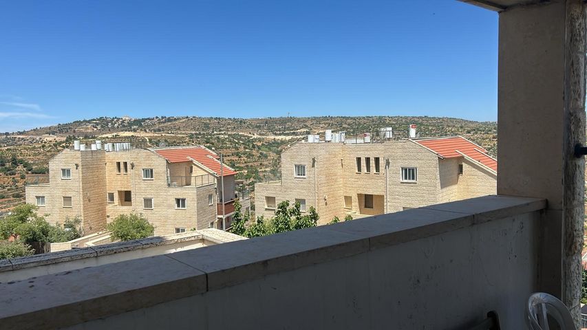 זית שמן 30
