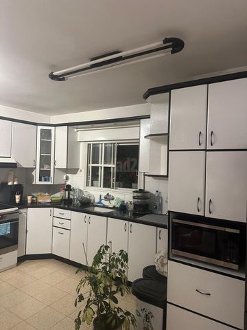 אשחר 1