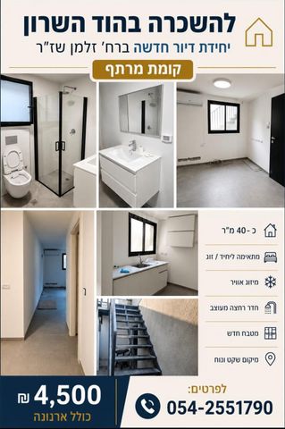 זלמן שז"ר 9