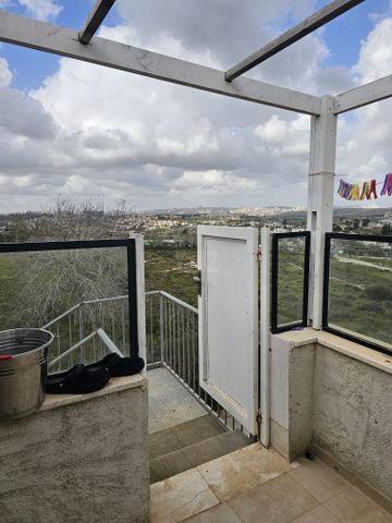הזית 1