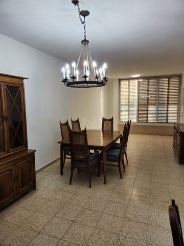 דוד פרנקפורטר 16