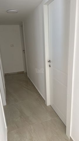 הותיקים 1