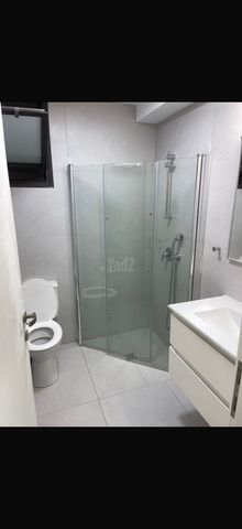 דוד פניק 1
