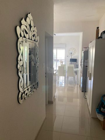 דיזנגוף 302
