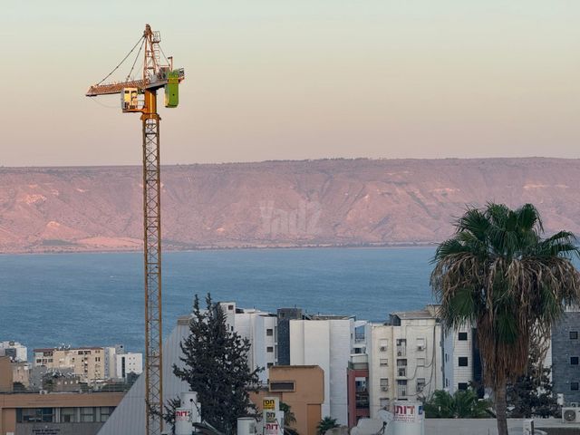 שמעון דהאן 16