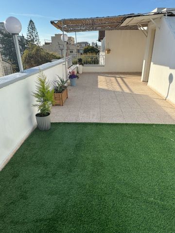 דפנה 30