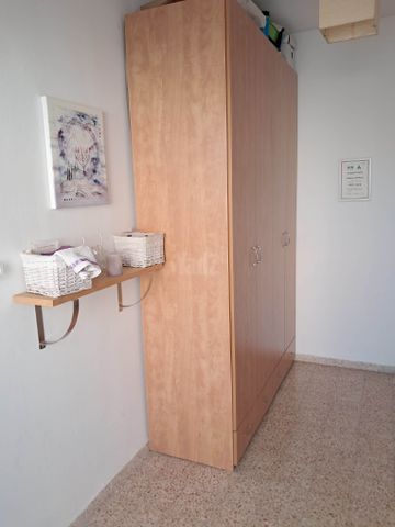 הרצוג 13