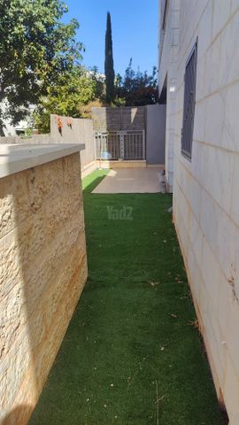 גפן 46