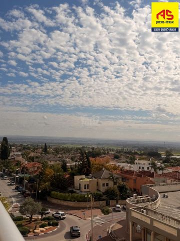 חנקין 