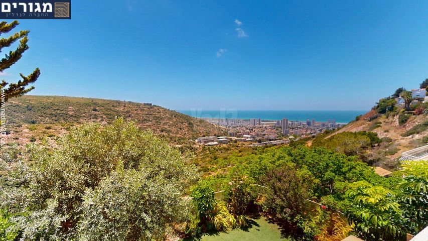 אסתר רבין 