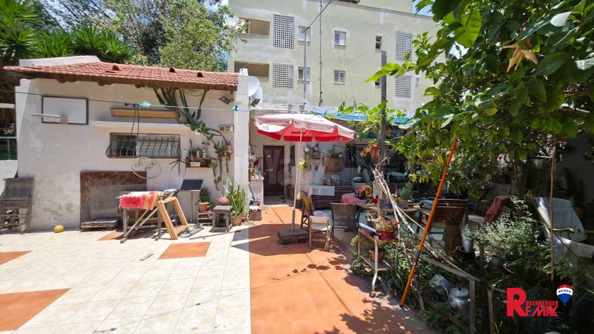 חזקיהו המלך 55
