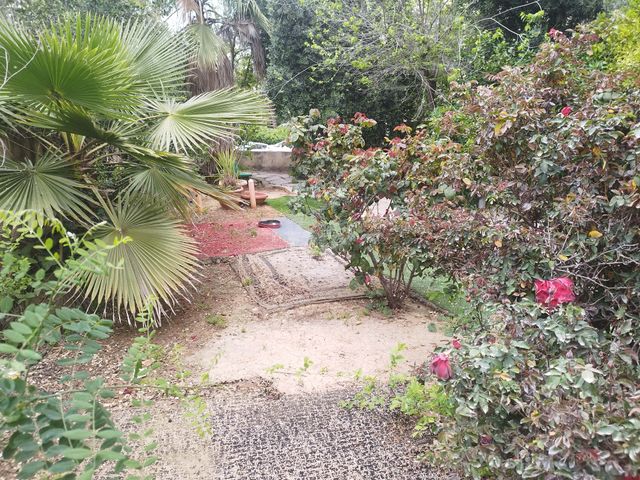 דירת גן