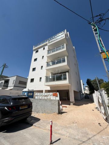 הרב קוק 