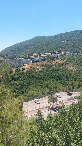 הסביון 