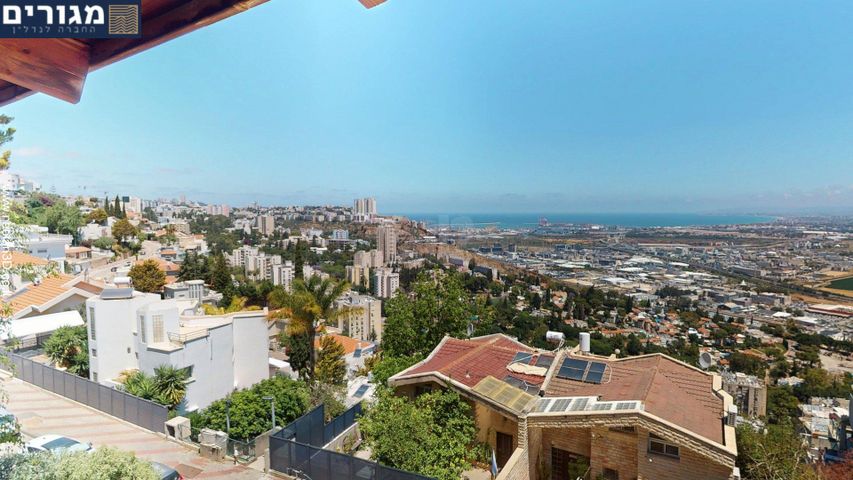 התמר 