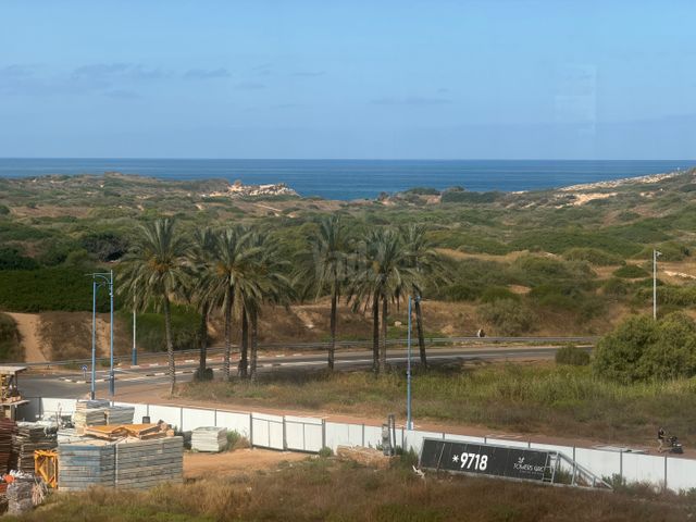 עין גדי 