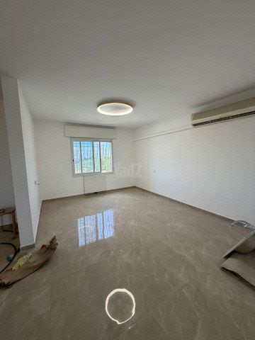 החסידה 