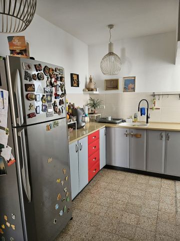 משה דיין 