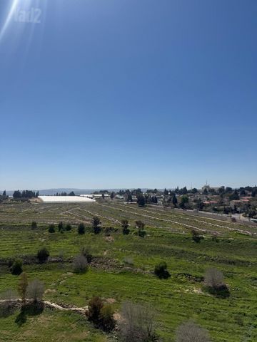גג/ פנטהאוז להשכרה בירושלים (תיווך) — 3