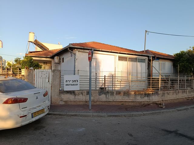 האגוז 1