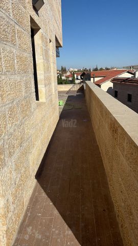 ארבעת המינים 14