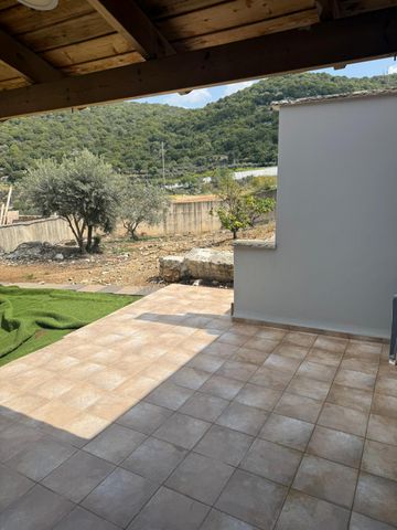 התמר 1