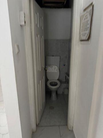 האבות 13
