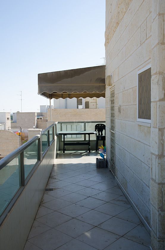 ליאו פיקרד 28