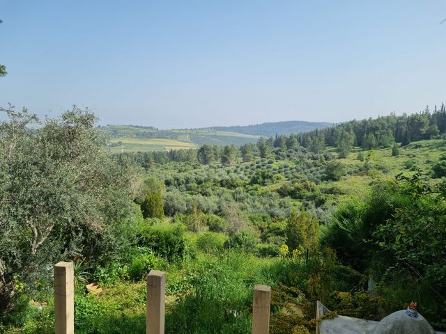 נווה שלום 1