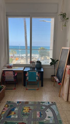 השחף 3
