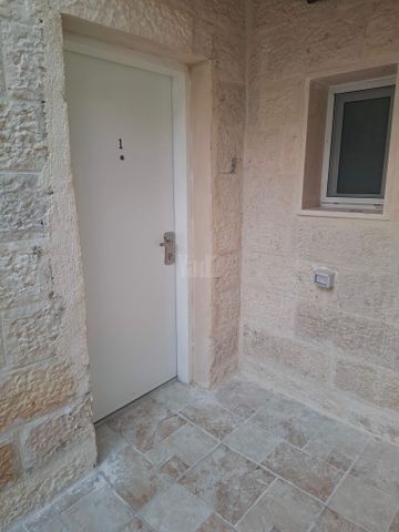 ארבעת המינים 12
