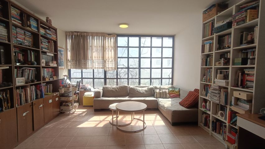 זאב ברנדה 53
