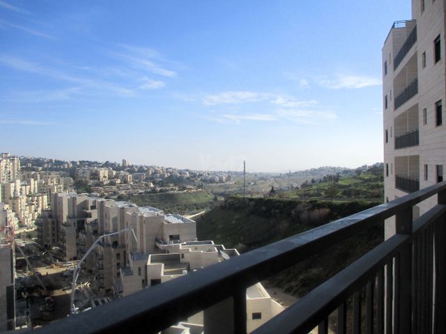 פרופסור יעקב נאמן 1