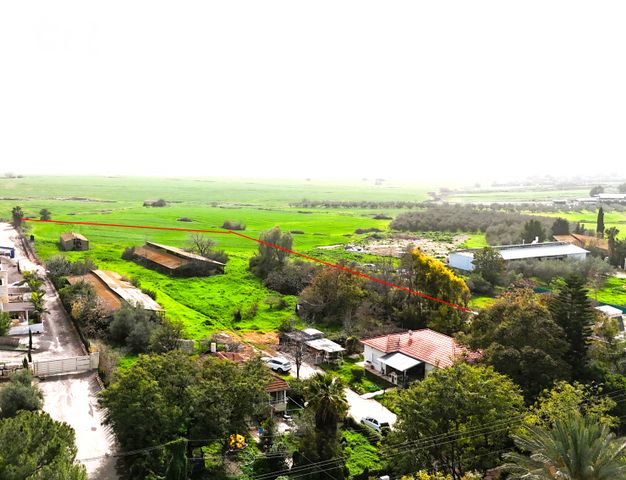 משק חקלאי/ נחלה למכירה בטל שחר (תיווך) — 4