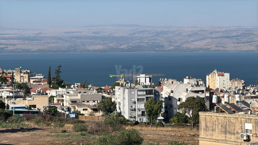 דוד המלך 