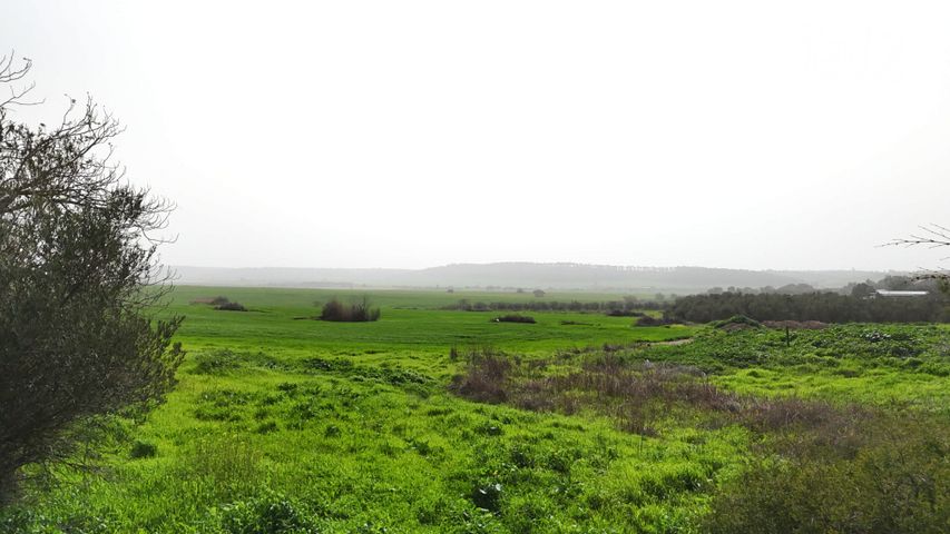 משק חקלאי/ נחלה למכירה בטל שחר (תיווך) — 3