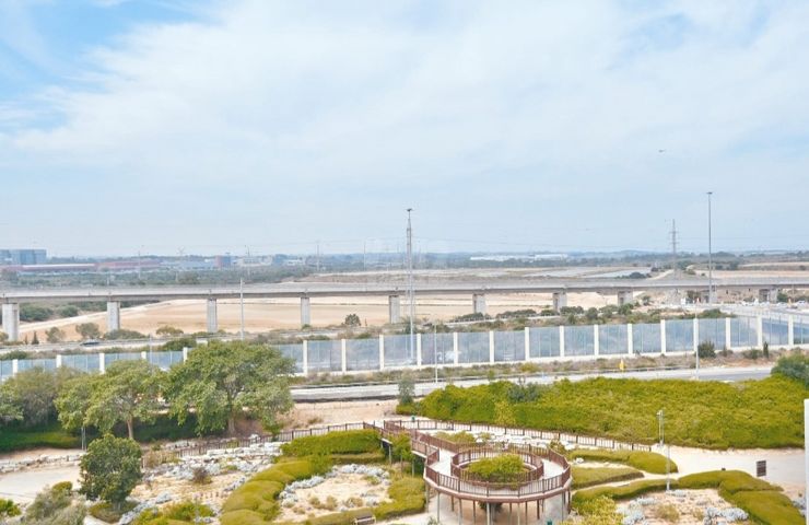 הכינור 