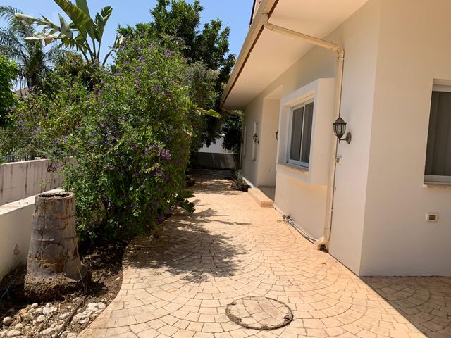 כיכר הזיתים 