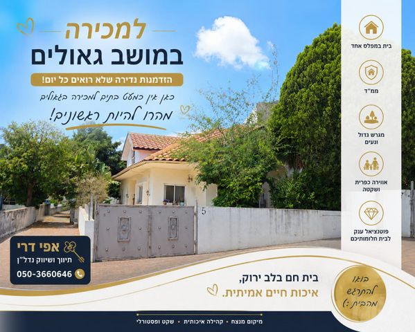 כיכר הזיתים 