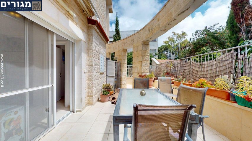 שושנת הכרמל 