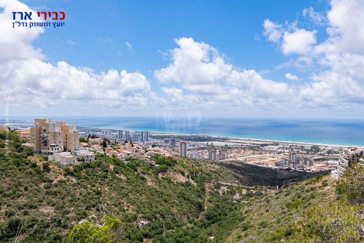 ויתקין 