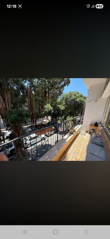 בלפור 