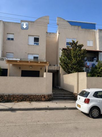 אקליפטוס 5