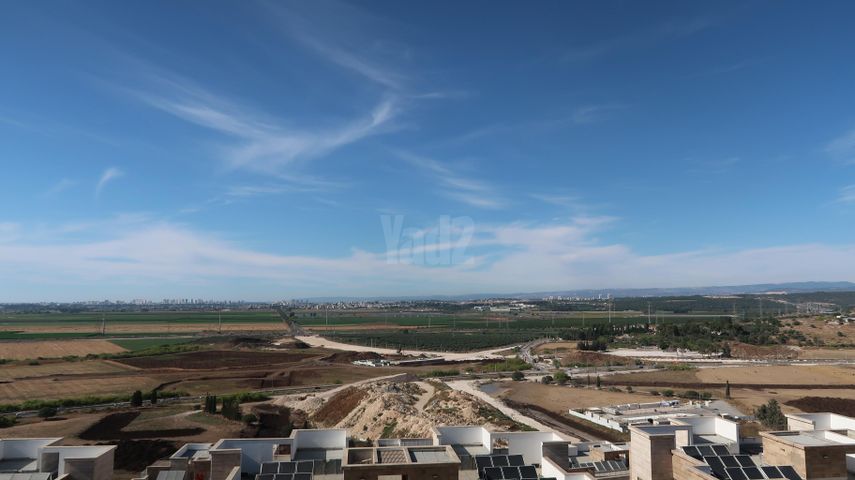 הנרקיסים 10