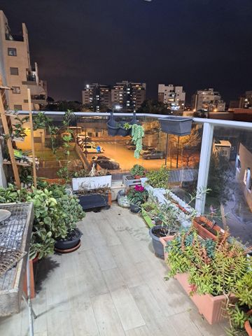 חזון אי"ש 13