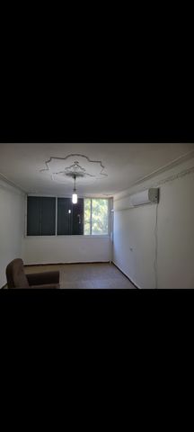 חנה סנש 3