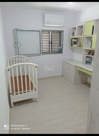נריה הנביא 13