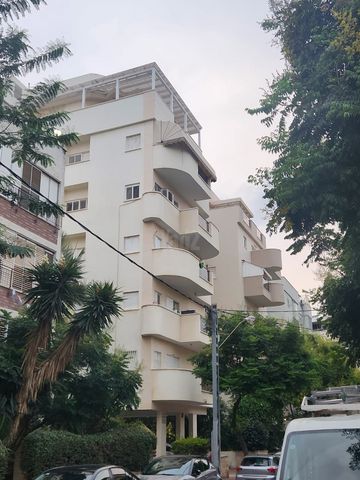 הקונגרס 12