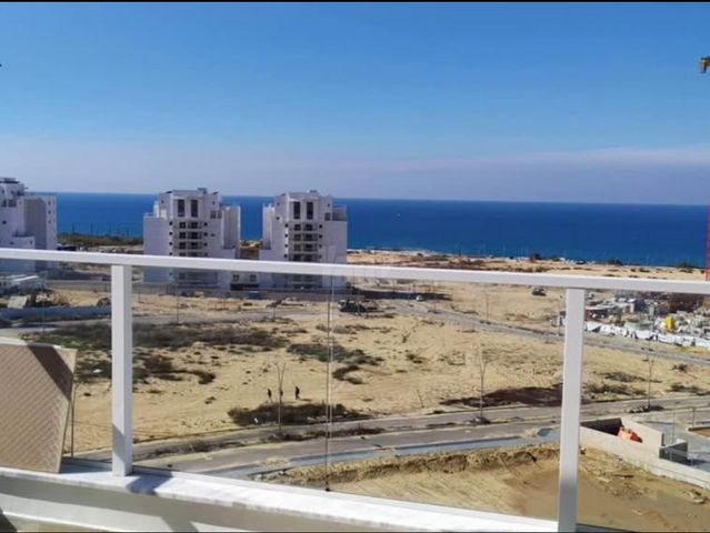 הקונכייה 1